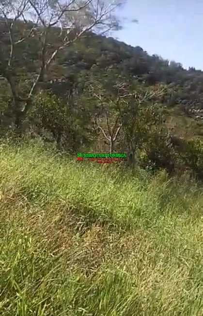 Foto 7 de Chácara à venda, 2000m2 em Monteiro Lobato - SP