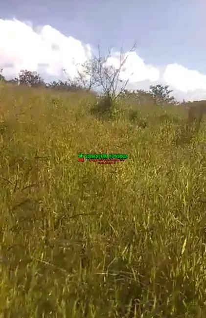 Foto 5 de Chácara à venda, 2000m2 em Monteiro Lobato - SP