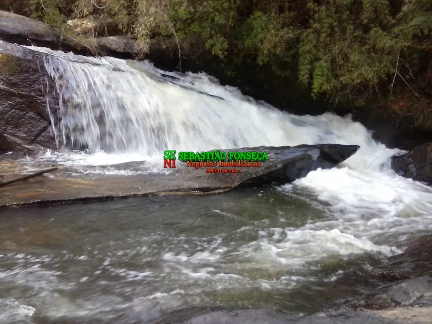 Sala Comercial à venda, 10000m2 em Jardim das Acácias, São Paulo - SP - imagem 5 Foto 5 de Sala Comercial à venda, 10000m2 em Jardim das Acácias, São Paulo - SP