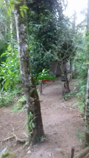 Casa com 2 quartos à venda, 1000m2 em Centro, Caraguatatuba - SP - imagem 5 Foto 5 de Casa com 2 quartos à venda, 1000m2 em Centro, Caraguatatuba - SP