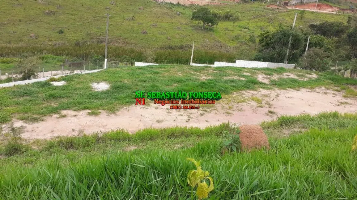 Foto 6 de Chácara com 3 quartos à venda, 5000m2 em Taubate - SP