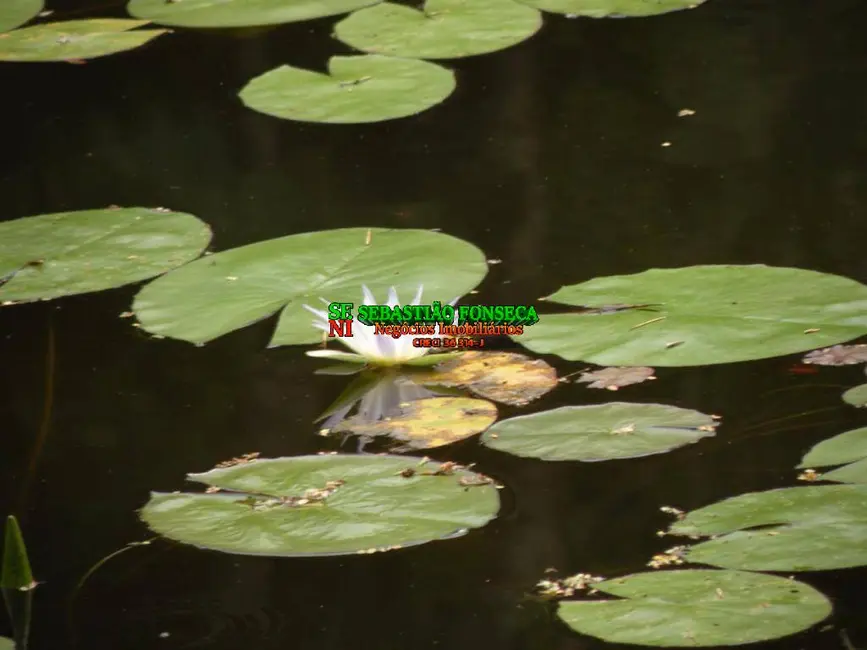 Foto 6 de Fazenda / Haras à venda, 35m2 em Sao Jose Dos Campos - SP