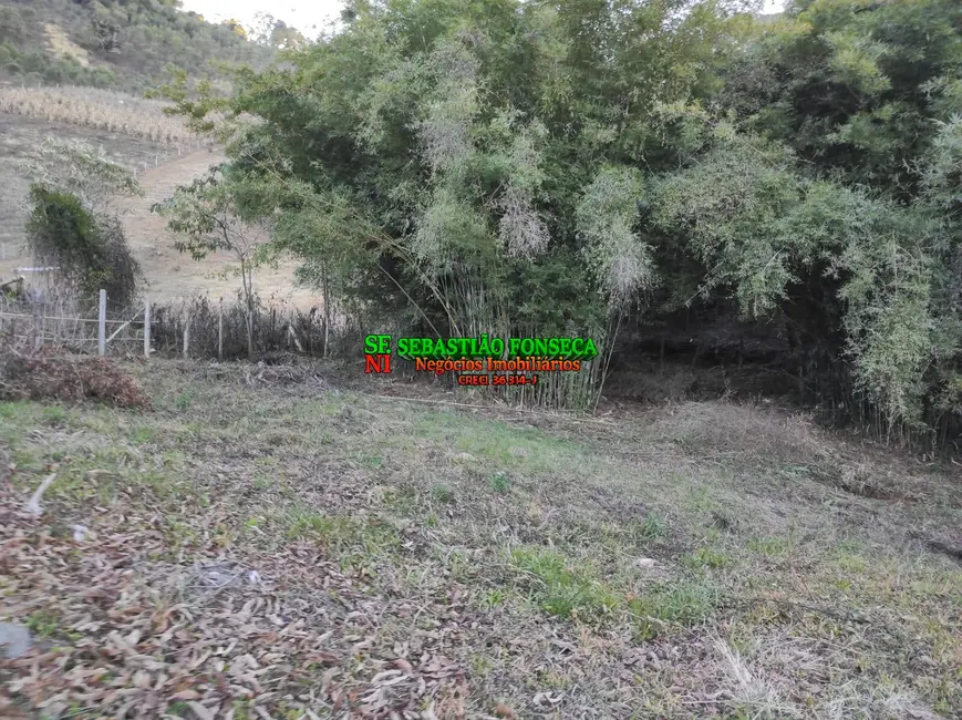 Chácara com 2 quartos à venda, 1000m2 em Marmelopolis - MG - imagem 6 Foto 6 de Chácara com 2 quartos à venda, 1000m2 em Marmelopolis - MG