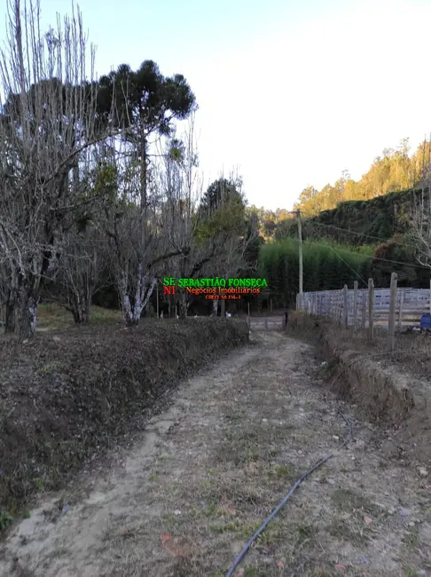 Foto 2 de Chácara com 2 quartos à venda, 1000m2 em Marmelopolis - MG