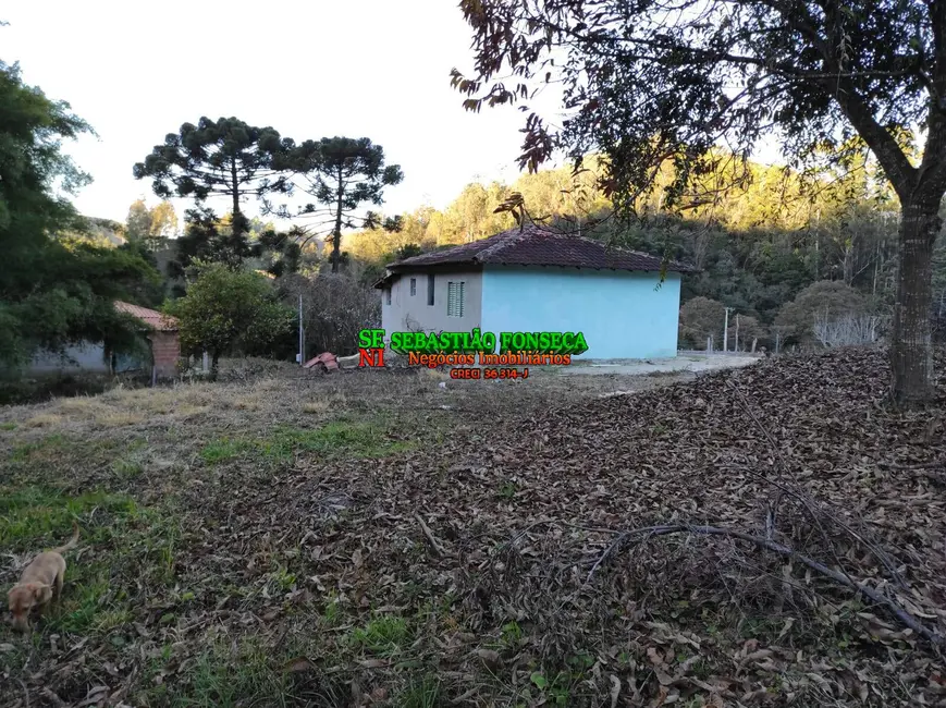 Chácara com 2 quartos à venda, 1000m2 em Marmelopolis - MG - imagem 9 Foto 9 de Chácara com 2 quartos à venda, 1000m2 em Marmelopolis - MG