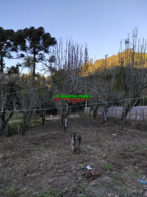 Chácara com 2 quartos à venda, 1000m2 em Marmelopolis - MG - imagem 5 Foto 5 de Chácara com 2 quartos à venda, 1000m2 em Marmelopolis - MG