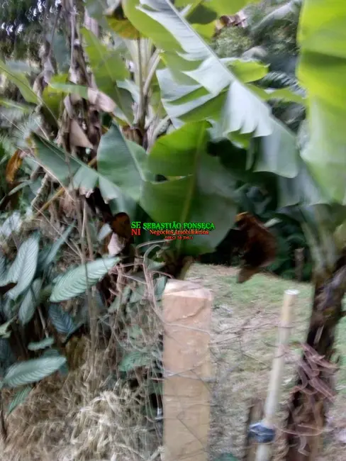 Foto 5 de Chácara à venda, 2000m2 em Sao Jose Dos Campos - SP