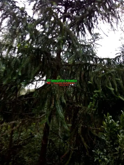 Foto 6 de Chácara à venda, 2000m2 em Sao Jose Dos Campos - SP