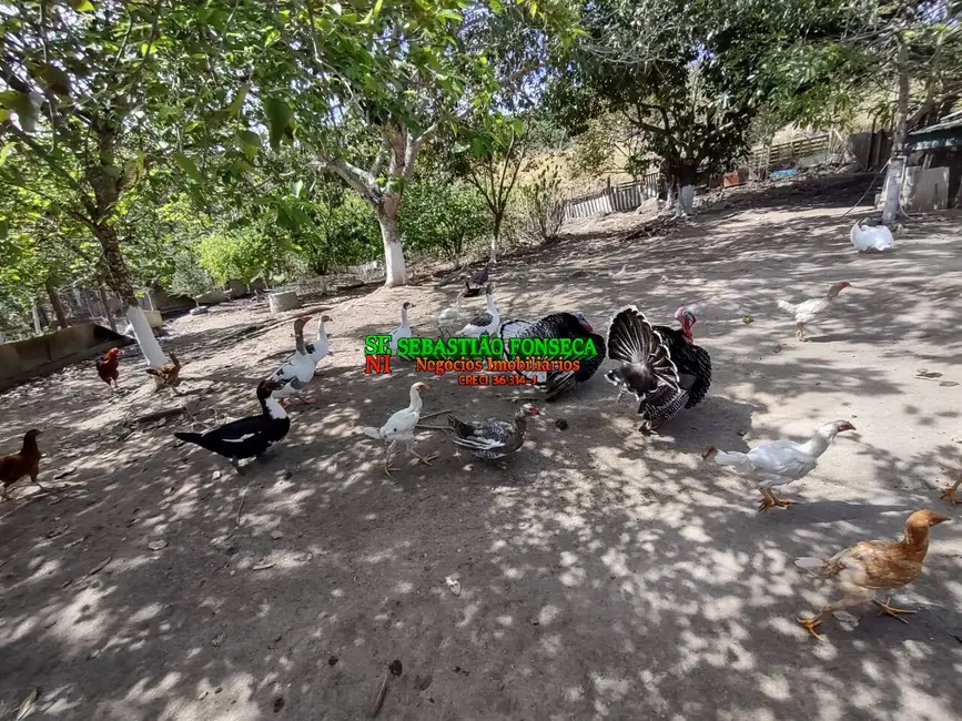 Foto 3 de Chácara à venda, 11790m2 em Santa Branca - SP