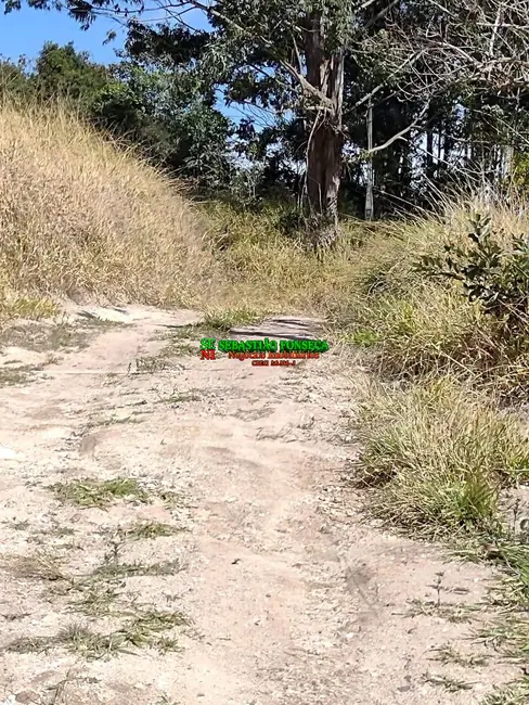 Foto 6 de Sítio / Rancho à venda em Santa Branca - SP