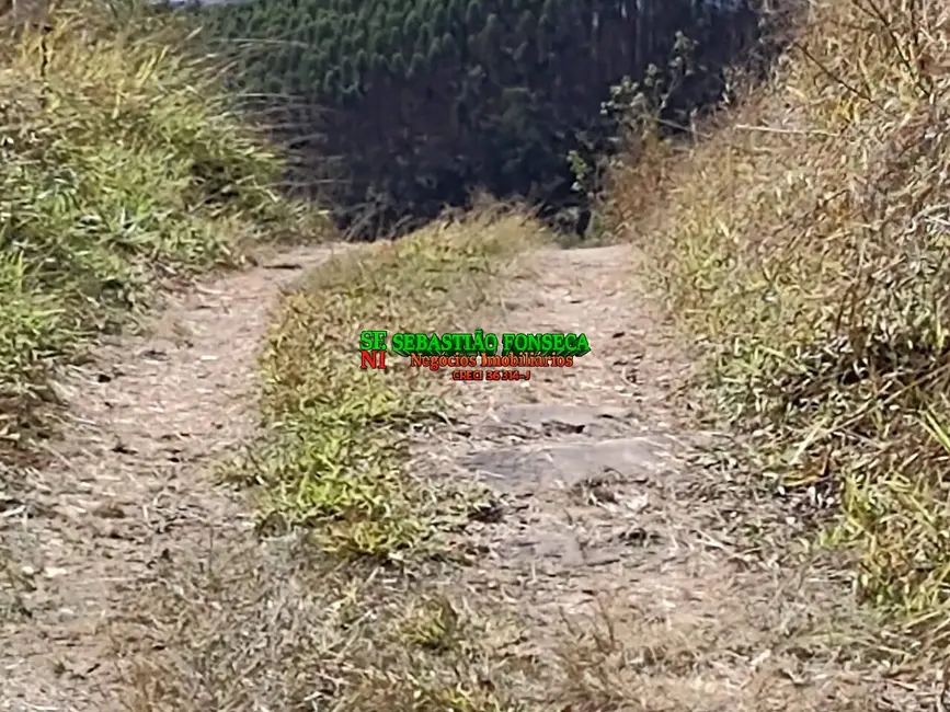 Foto 5 de Sítio / Rancho à venda em Santa Branca - SP