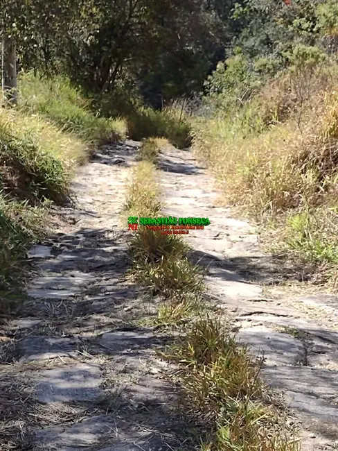 Foto 7 de Sítio / Rancho à venda em Santa Branca - SP