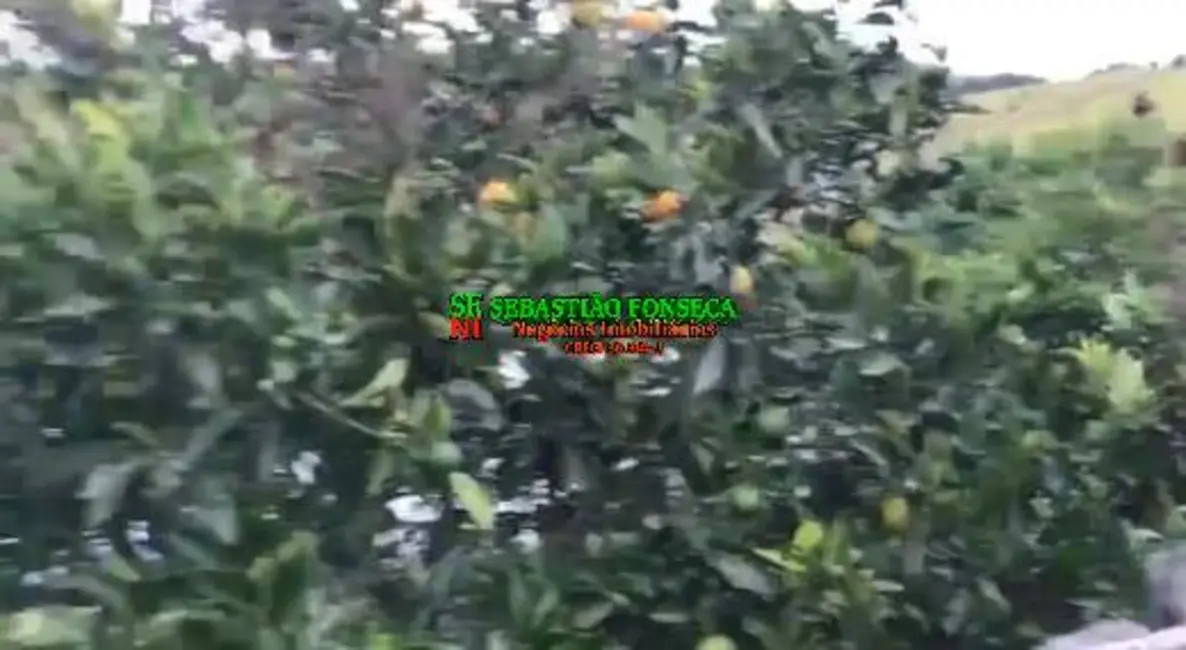 Foto 7 de Sítio / Rancho com 2 quartos à venda em Redencao Da Serra - SP