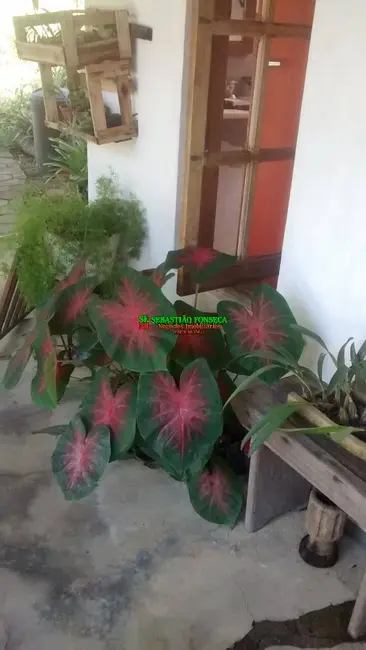 Foto 15 de Sítio / Rancho à venda em Paraibuna - SP