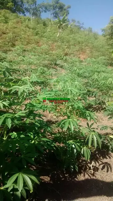 Sítio / Rancho à venda em Paraibuna - SP - imagem 4 Foto 4 de Sítio / Rancho à venda em Paraibuna - SP