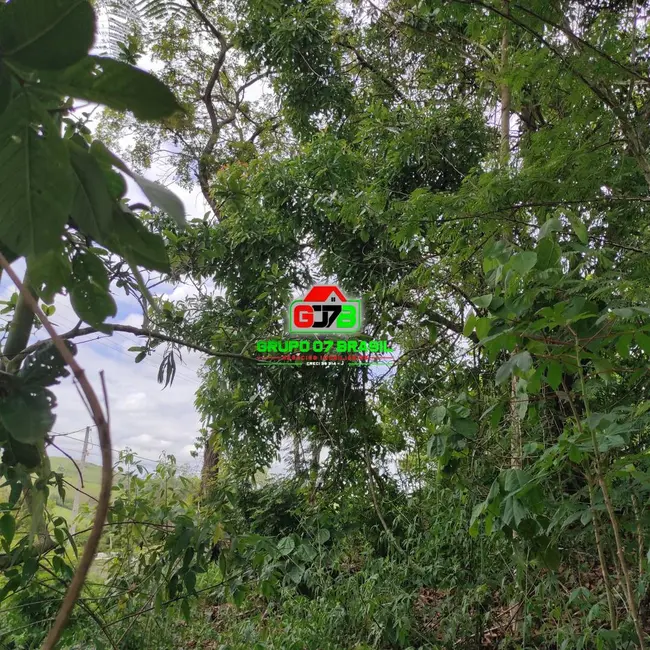 Foto 3 de Chácara à venda, 5000m2 em Jambeiro - SP