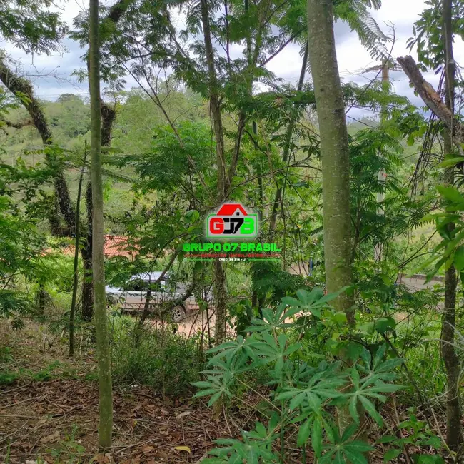 Foto 11 de Chácara à venda, 5000m2 em Jambeiro - SP