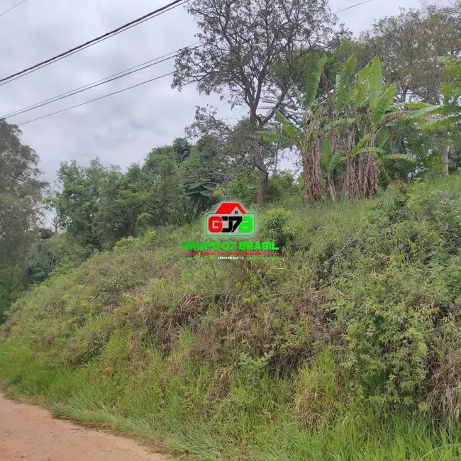 Foto 7 de Chácara à venda, 5000m2 em Jambeiro - SP