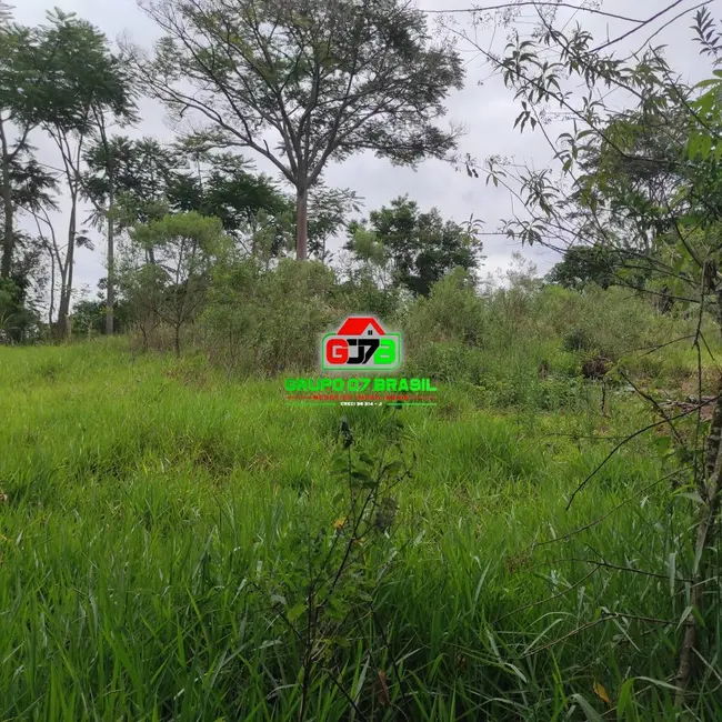 Foto 12 de Chácara à venda, 5000m2 em Jambeiro - SP