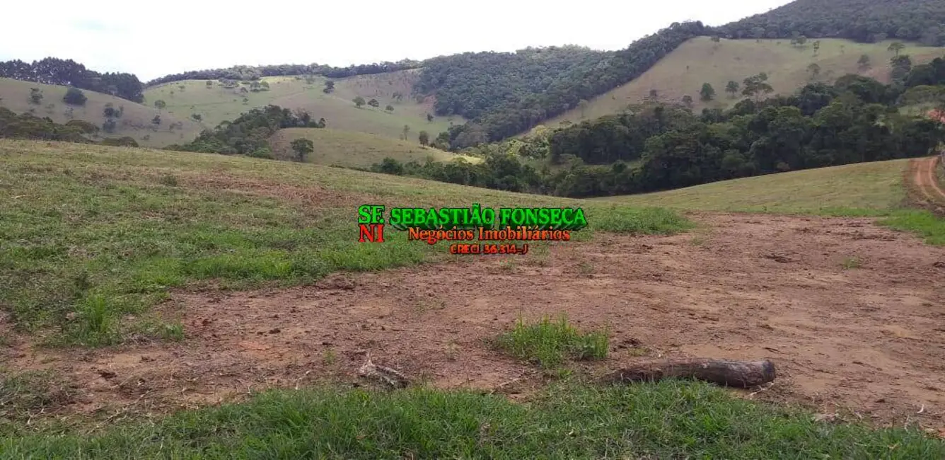 Foto 3 de Fazenda / Haras à venda, 174m2 em Jesuania - MG