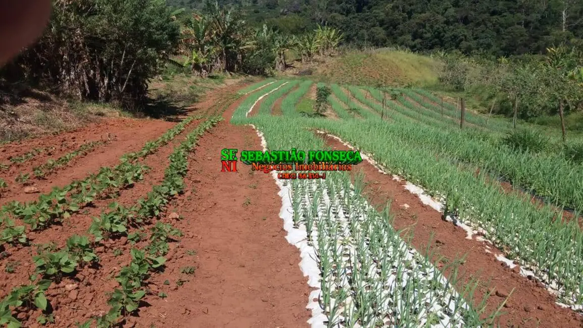 Foto 2 de Fazenda / Haras à venda, 487m2 em Carmo De Minas - MG