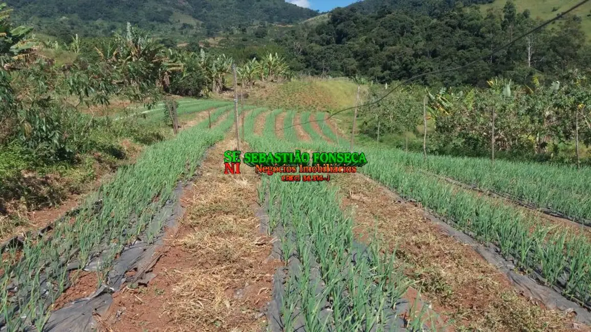Foto 9 de Fazenda / Haras à venda, 487m2 em Carmo De Minas - MG