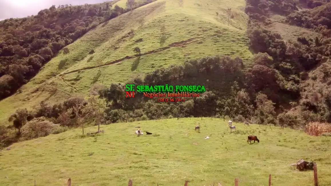 Sítio / Rancho à venda, 15m2 em Sao Luiz Do Paraitinga - SP - imagem 8 Foto 8 de Sítio / Rancho à venda, 15m2 em Sao Luiz Do Paraitinga - SP