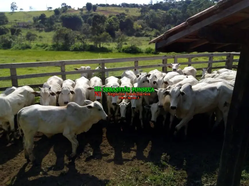 Foto 1 de Fazenda / Haras à venda, 53m2 em Cambui - MG