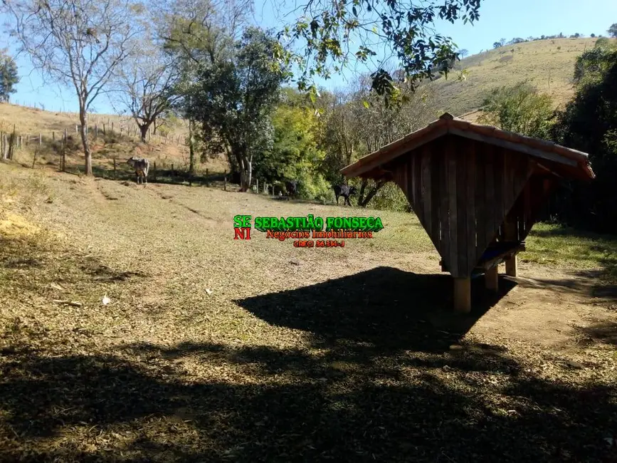 Foto 7 de Fazenda / Haras à venda, 53m2 em Cambui - MG