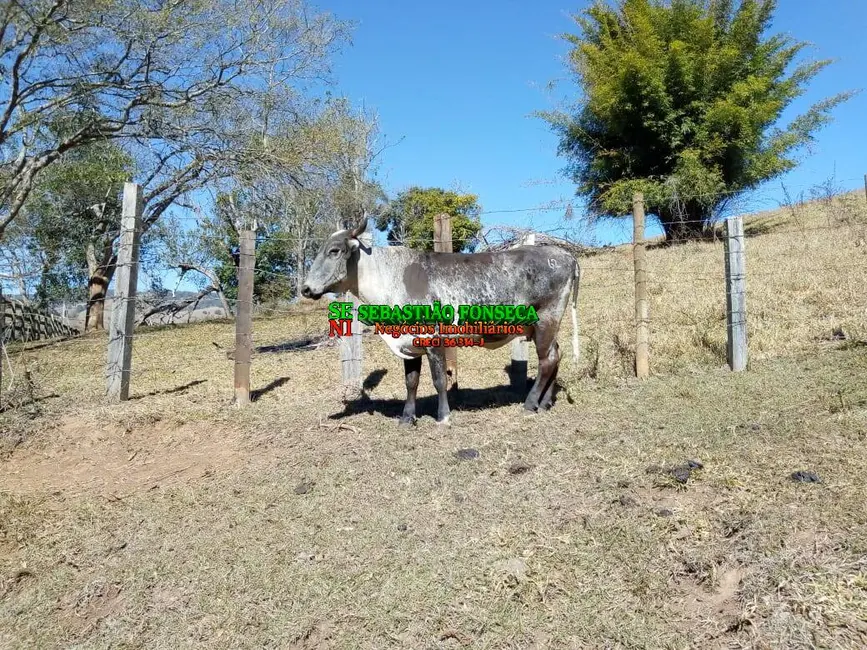 Foto 6 de Fazenda / Haras à venda, 53m2 em Cambui - MG