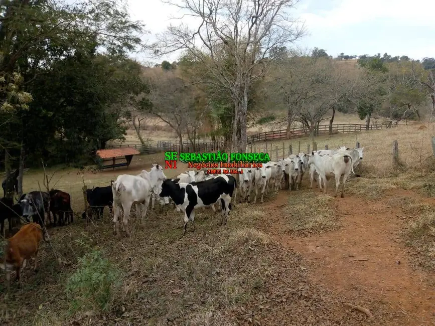 Foto 9 de Fazenda / Haras à venda, 53m2 em Cambui - MG