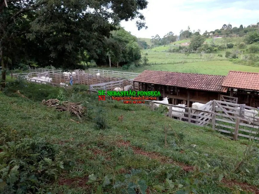 Foto 5 de Fazenda / Haras à venda, 53m2 em Cambui - MG