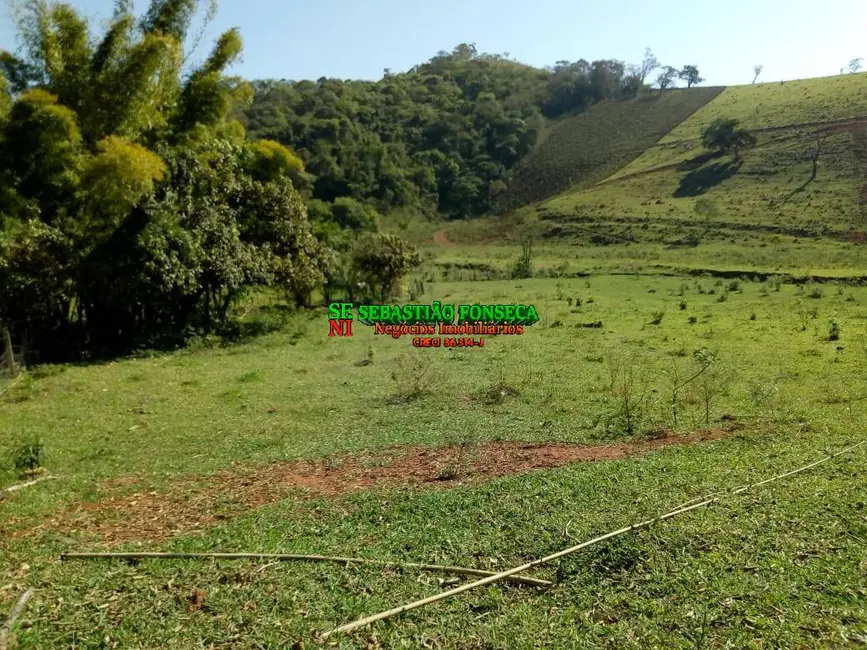 Foto 4 de Fazenda / Haras à venda, 53m2 em Cambui - MG