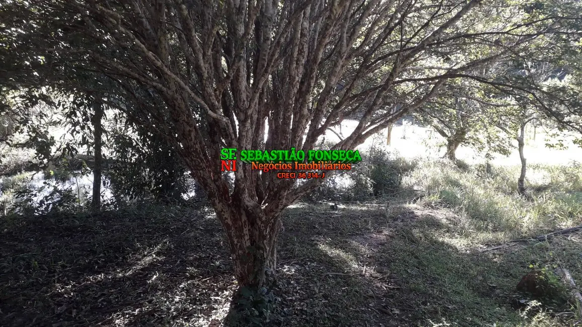 Foto 5 de Sítio / Rancho à venda, 20000m2 em Piedade, Cacapava - SP