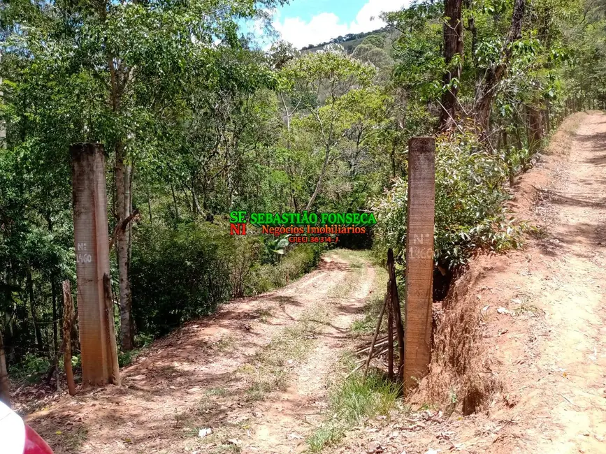 Foto 3 de Sítio / Rancho com 2 quartos à venda, 24700m2 em Centro, Monteiro Lobato - SP