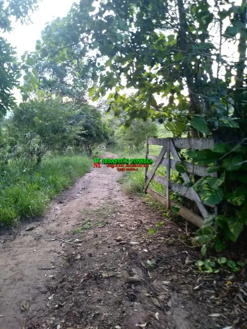 Sítio / Rancho com 4 quartos à venda em Paraisopolis - MG - imagem 5 Foto 5 de Sítio / Rancho com 4 quartos à venda em Paraisopolis - MG