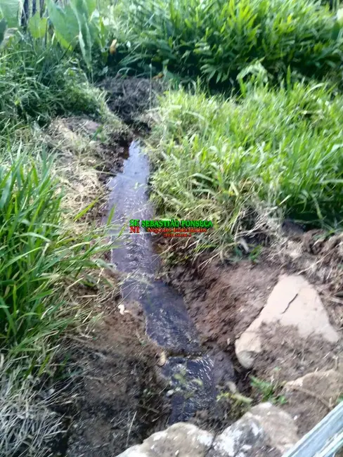 Sítio / Rancho com 4 quartos à venda em Paraisopolis - MG - imagem 4 Foto 4 de Sítio / Rancho com 4 quartos à venda em Paraisopolis - MG