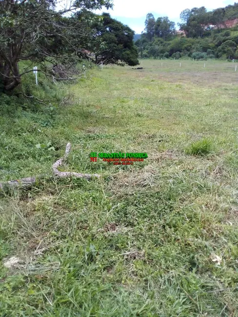 Foto 7 de Chácara à venda e para alugar, 2660m2 em Maria Da Fe - MG