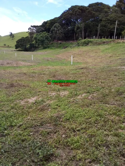Foto 6 de Chácara à venda, 2500m2 em Maria Da Fe - MG
