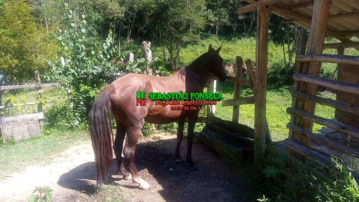 Foto 8 de Sítio / Rancho à venda, 33m2 em Redencao Da Serra - SP