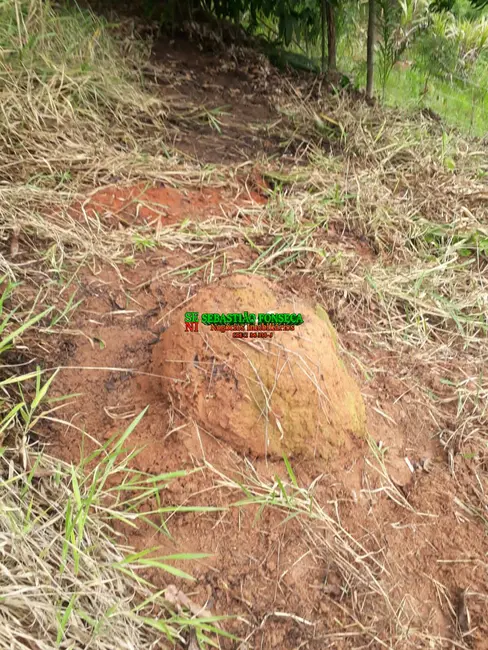 Foto 16 de Chácara à venda, 750m2 em Paraibuna - SP
