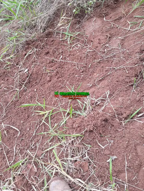Foto 12 de Chácara à venda, 750m2 em Paraibuna - SP
