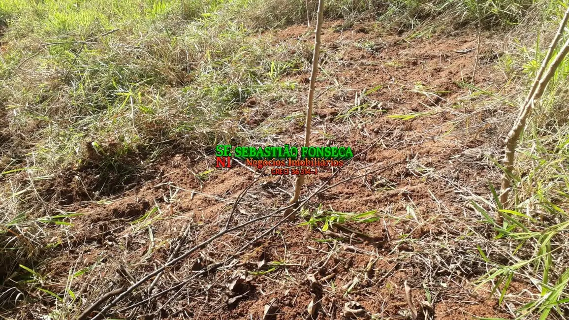 Chácara à venda, 750m2 em Paraibuna - SP - imagem 4 Foto 4 de Chácara à venda, 750m2 em Paraibuna - SP