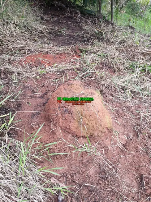 Foto 13 de Chácara à venda, 750m2 em Paraibuna - SP