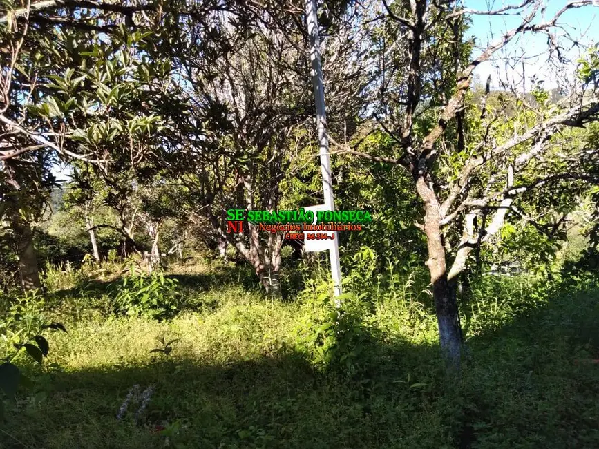 Foto 7 de Sítio / Rancho com 2 quartos à venda, 25000m2 em Virginia - MG