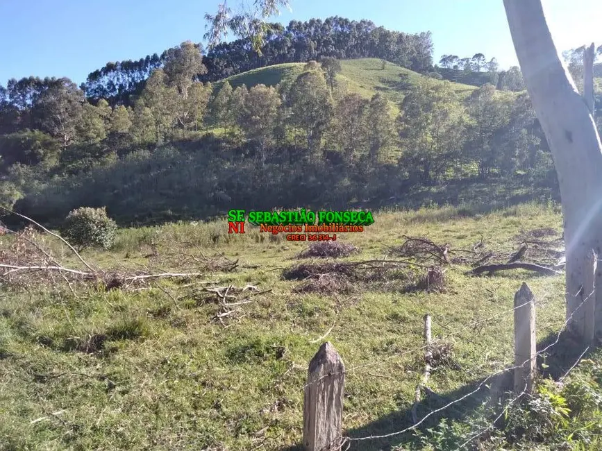 Foto 4 de Sítio / Rancho com 2 quartos à venda, 25000m2 em Virginia - MG