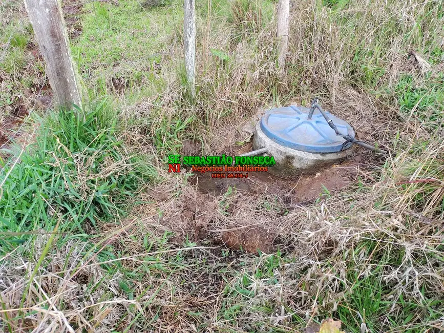 Foto 6 de Sítio / Rancho com 2 quartos à venda, 25000m2 em Virginia - MG