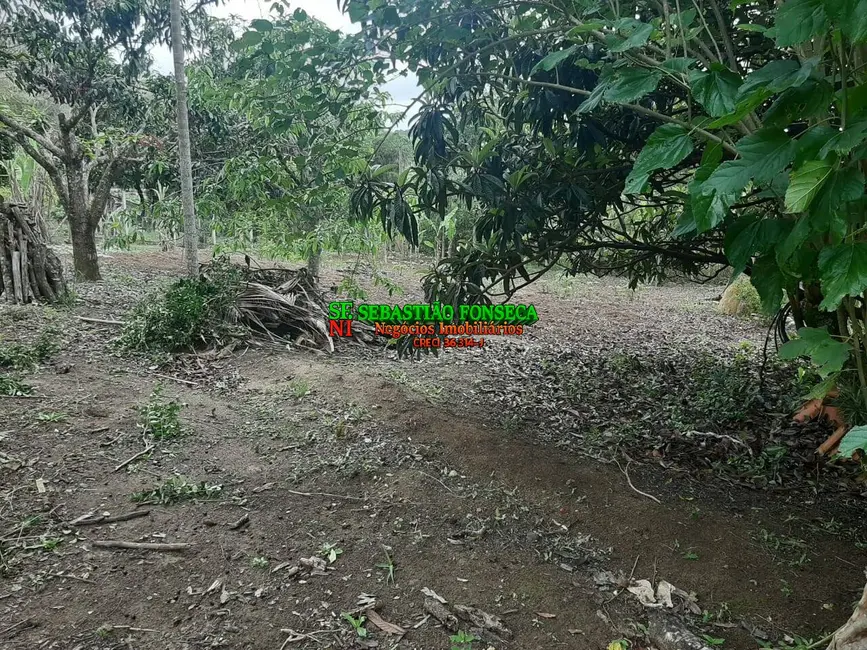 Chácara com 3 quartos à venda, 2300m2 em Paraibuna - SP - imagem 5 Foto 5 de Chácara com 3 quartos à venda, 2300m2 em Paraibuna - SP