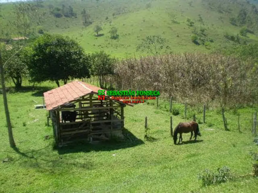 Foto 8 de Sítio / Rancho à venda, 30000m2 em Monteiro Lobato - SP