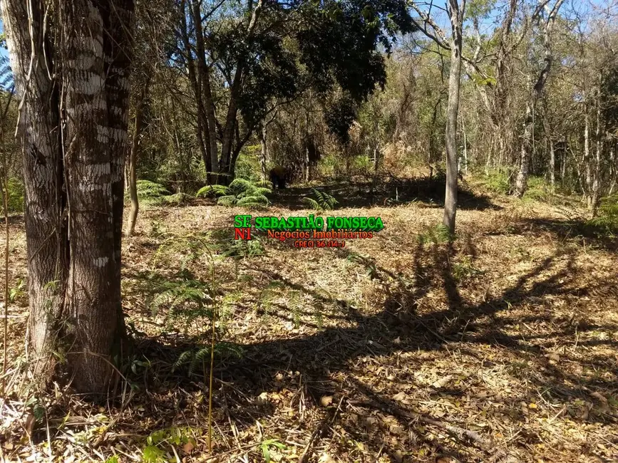 Foto 5 de Sítio / Rancho à venda, 30000m2 em Centro, Monteiro Lobato - SP